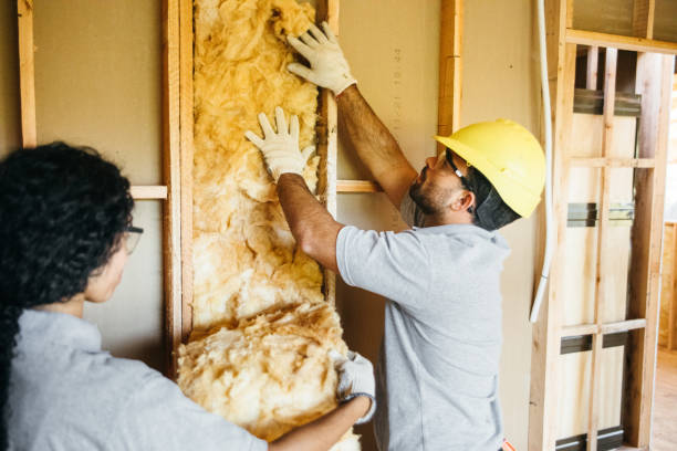 Best Insulation Replacement Services  in Hutchinson Island South, FL